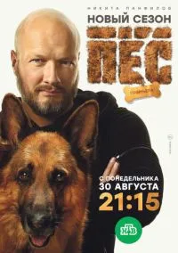 Пёс – смотреть онлайн бесплатно в HD хорошем качестве